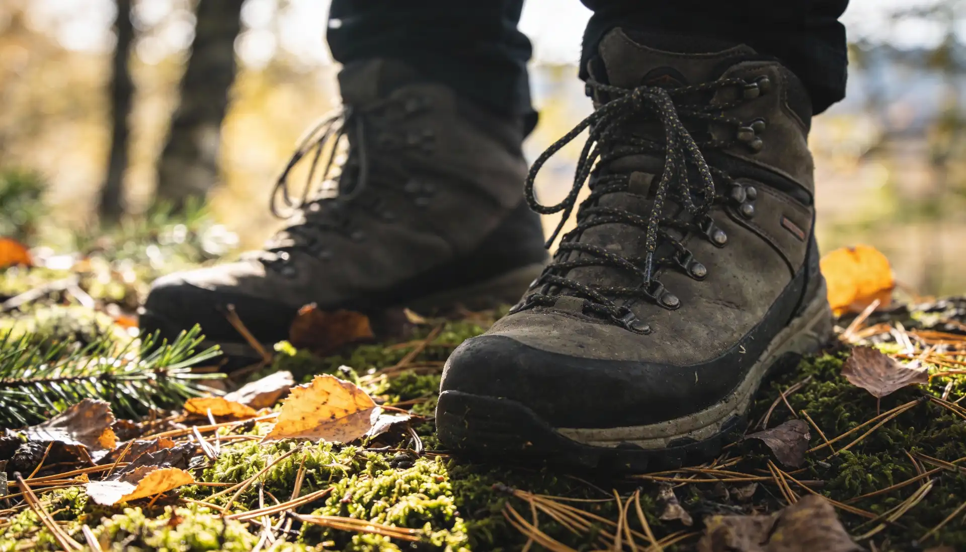 Brecklet Trail